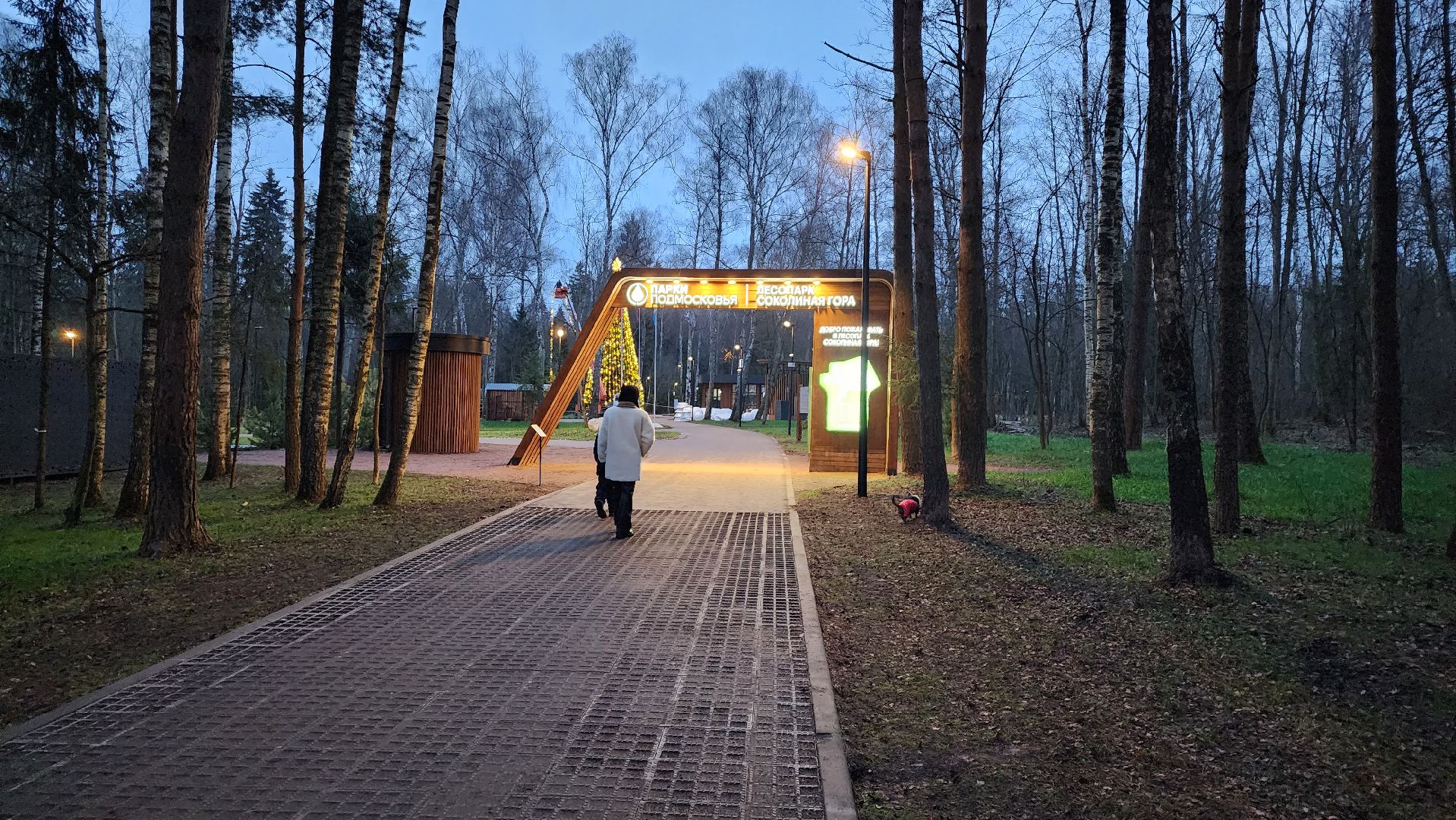 истра, лесопарк, подготовка к новогодним праздникам,