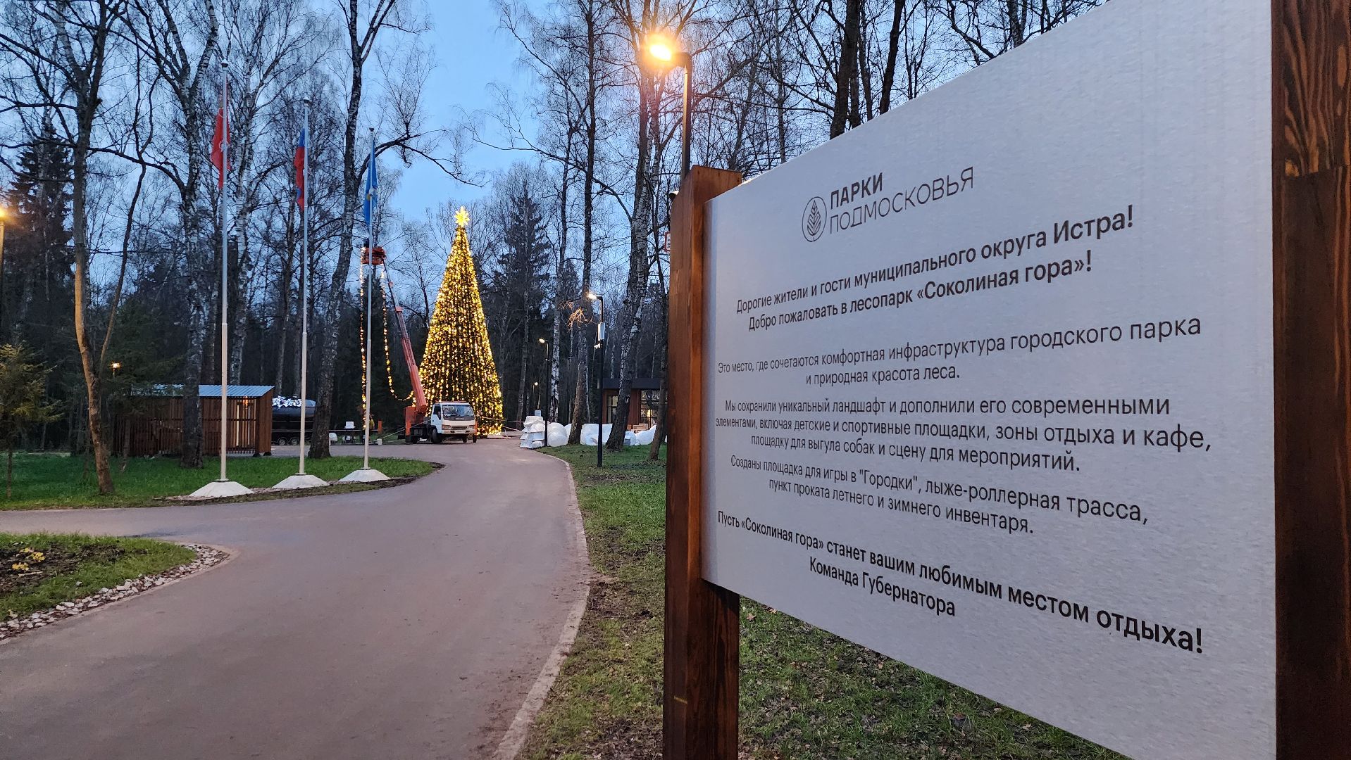 истра, лесопарк, подготовка к новогодним праздникам,