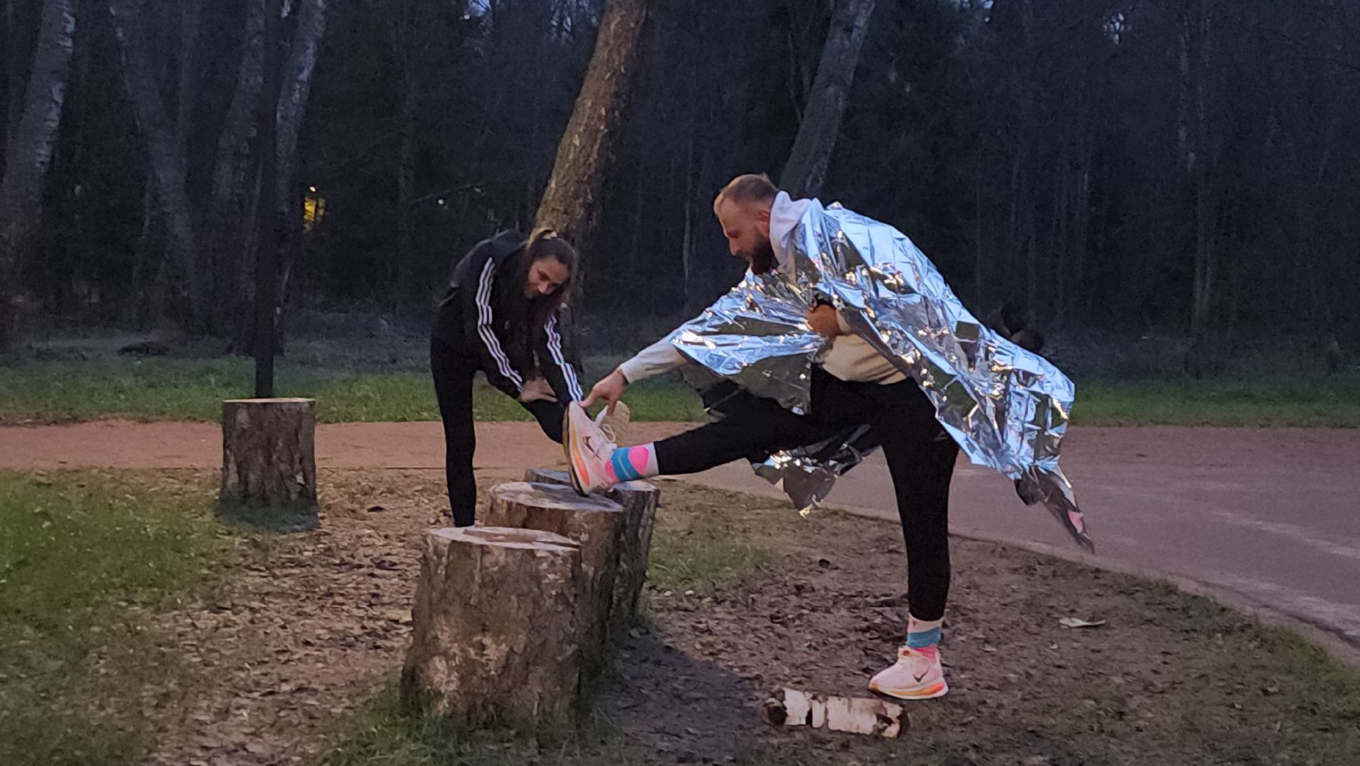 истра, лесопарк, подготовка к новогодним праздникам,