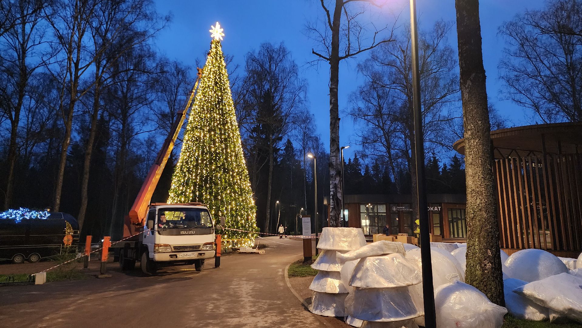 истра, лесопарк, подготовка к новогодним праздникам,
