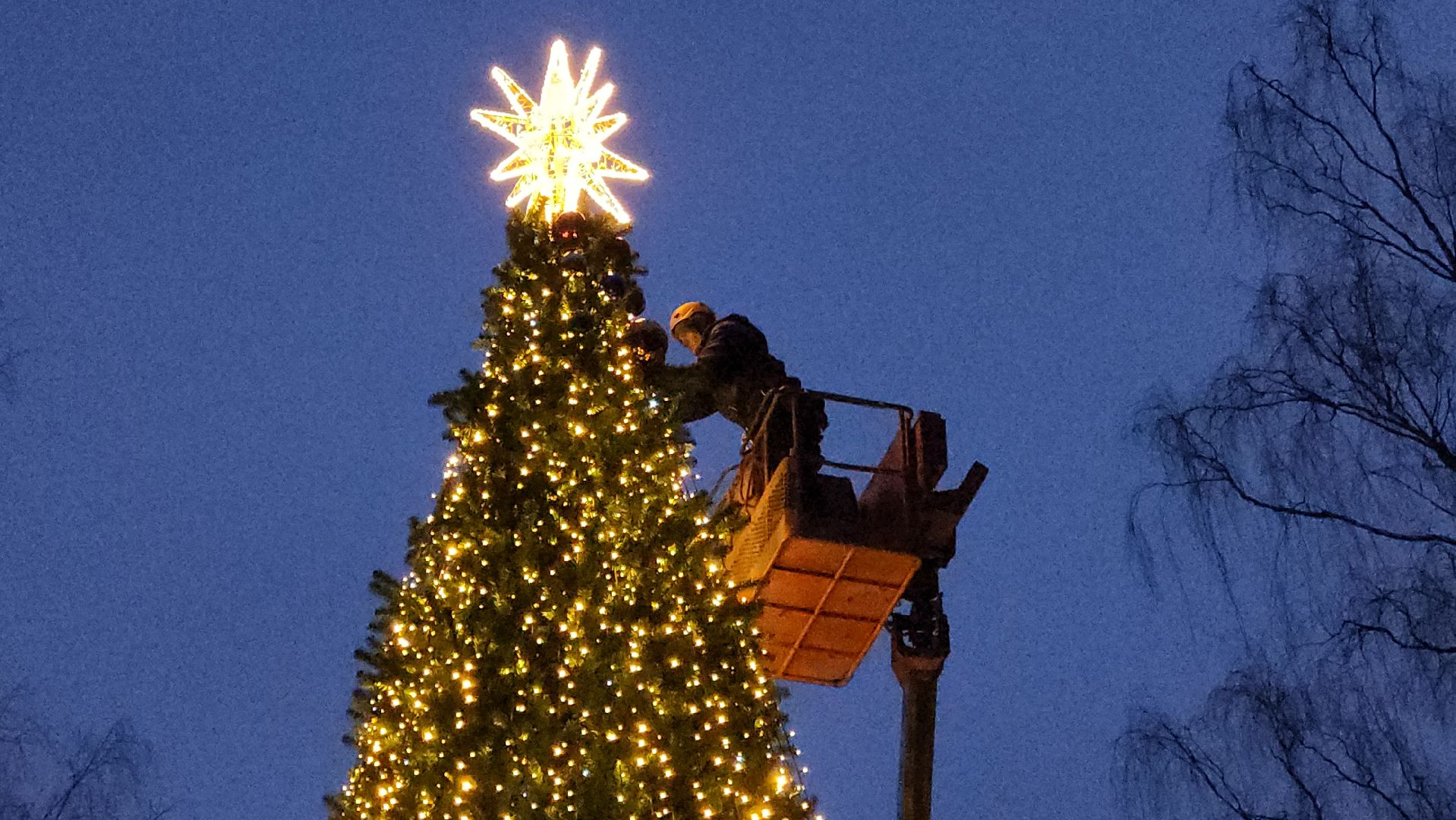 истра, лесопарк, подготовка к новогодним праздникам,