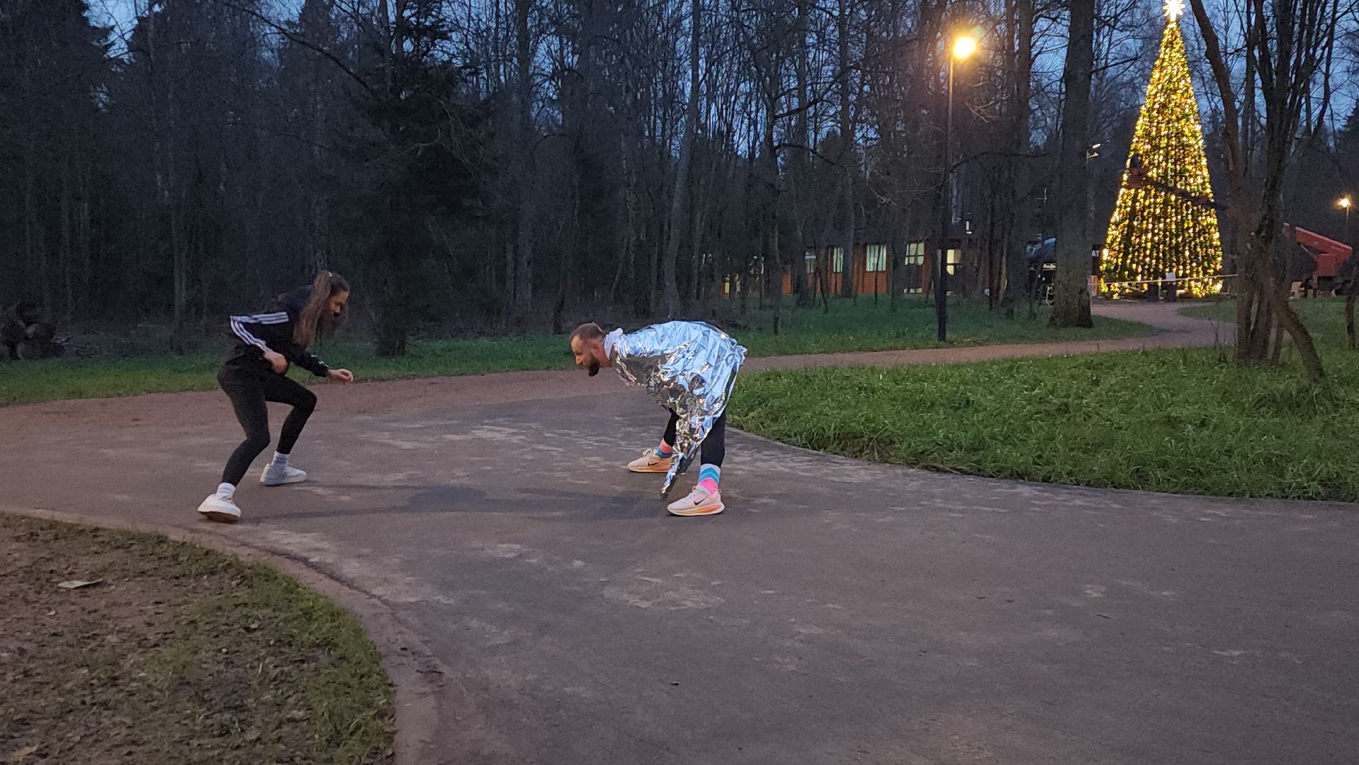 истра, лесопарк, подготовка к новогодним праздникам,