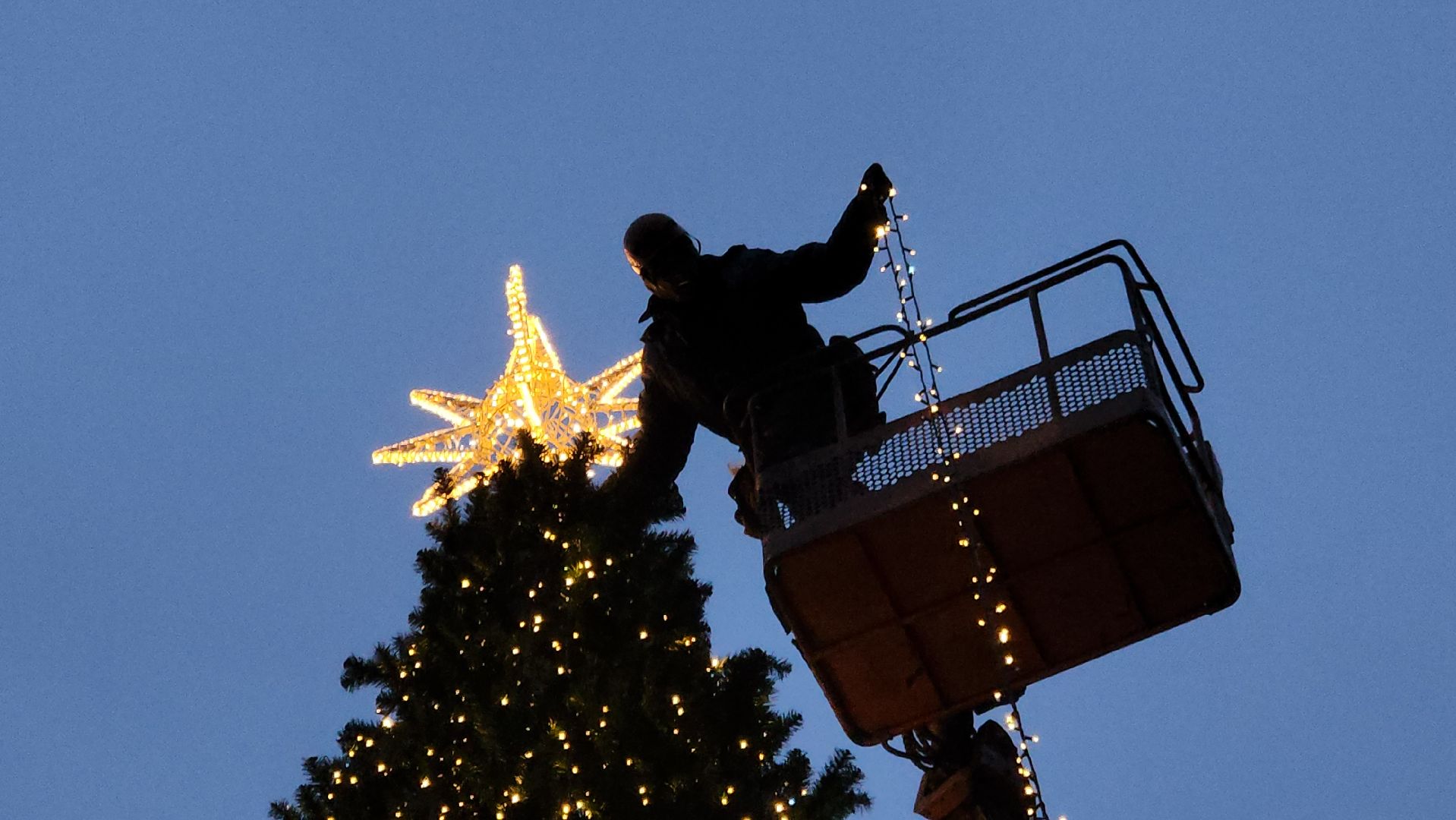 истра, лесопарк, подготовка к новогодним праздникам,