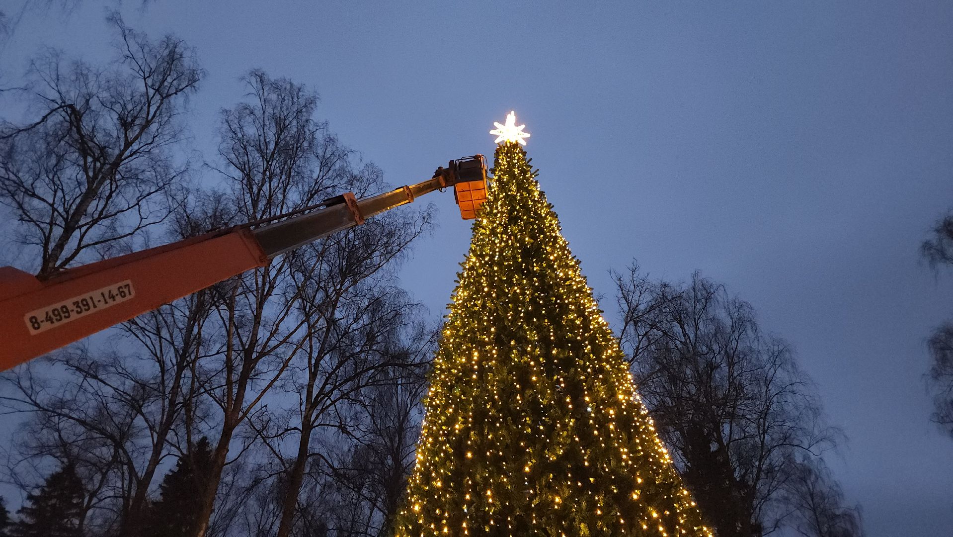 истра, лесопарк, подготовка к новогодним праздникам,