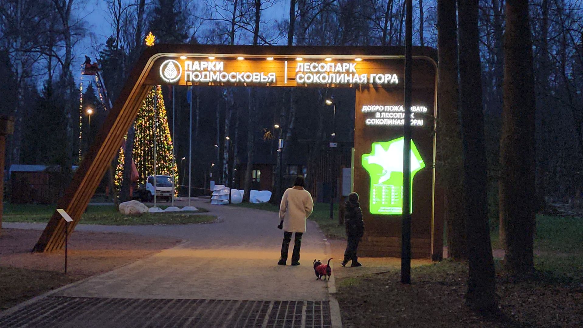 истра, лесопарк, подготовка к новогодним праздникам,