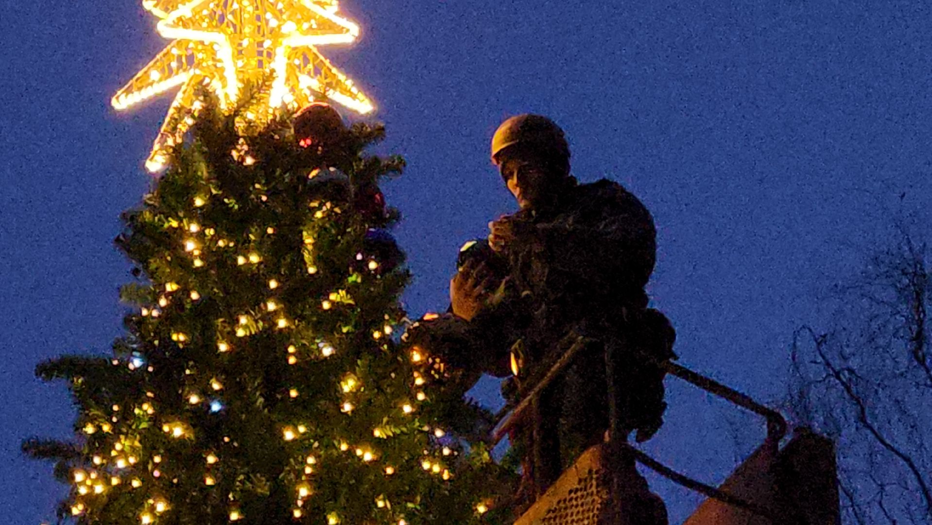 истра, лесопарк, подготовка к новогодним праздникам,