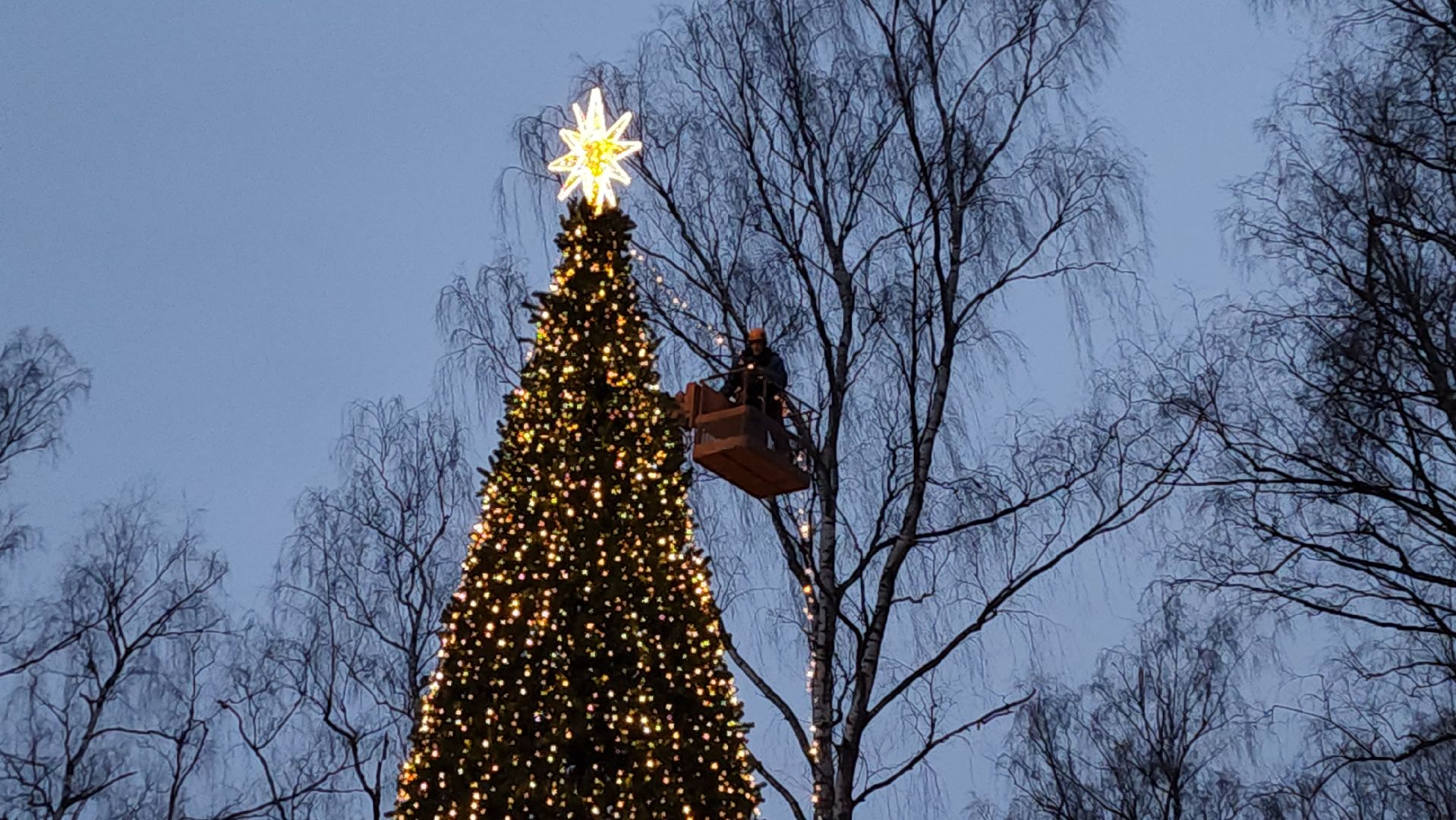 истра, лесопарк, подготовка к новогодним праздникам,