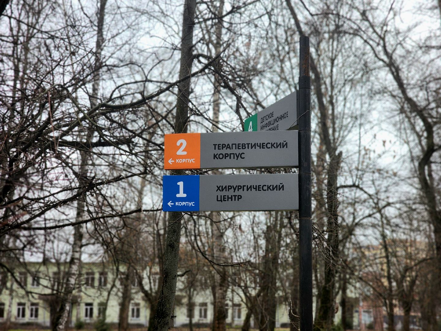 лучший врач подмосковья, терапия, подмосковный врач 2025, медицина,