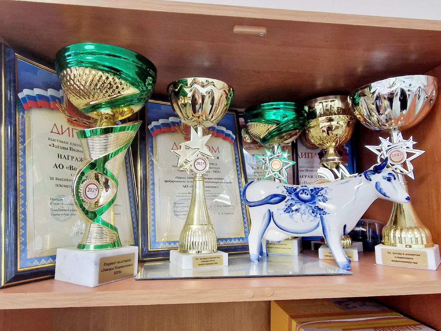 воскресенск, корова-рекордсменка, племенное хозяйство,