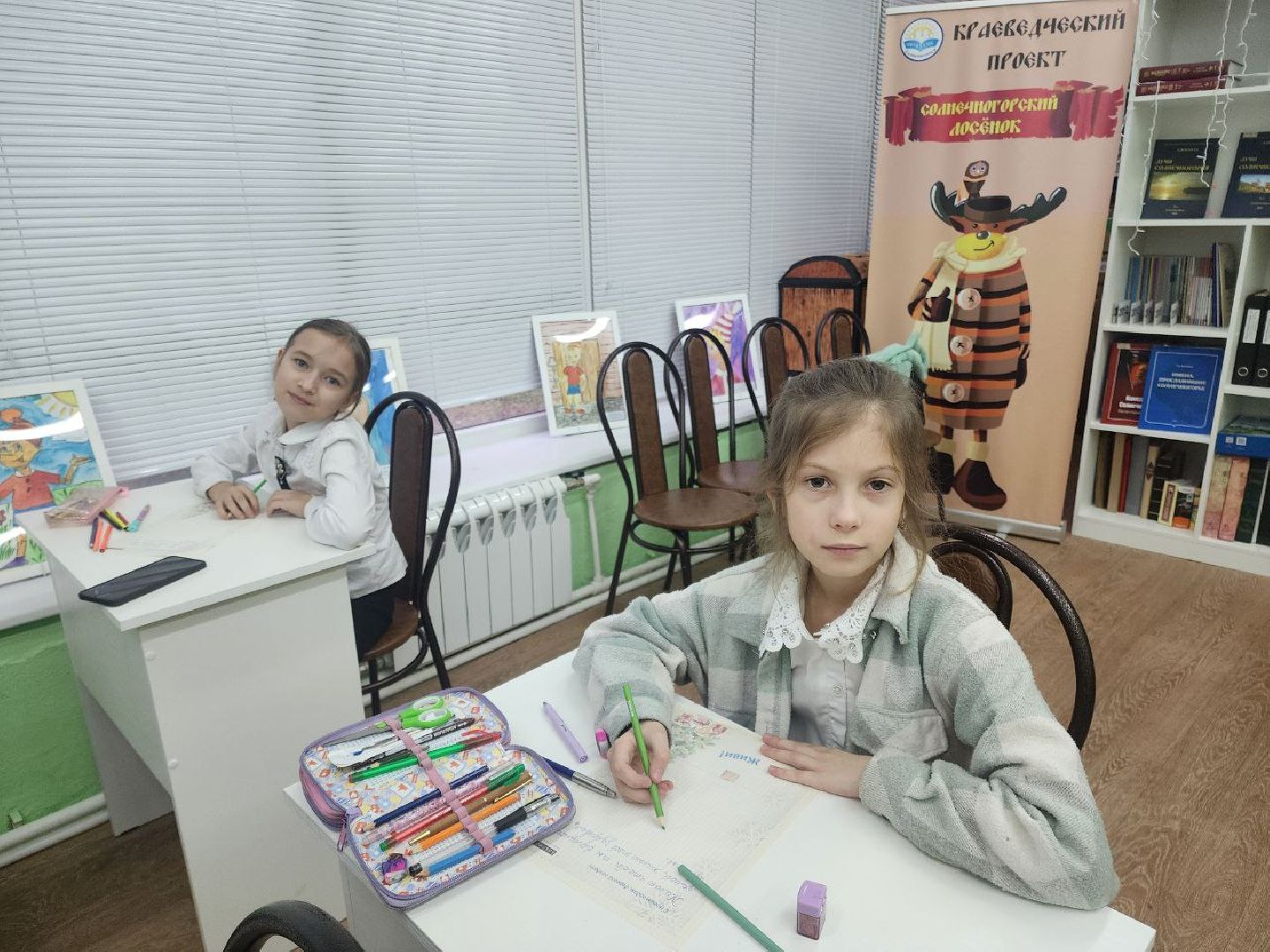 солнечногорск, образование, библиотека, молодежный центр подсолнух,