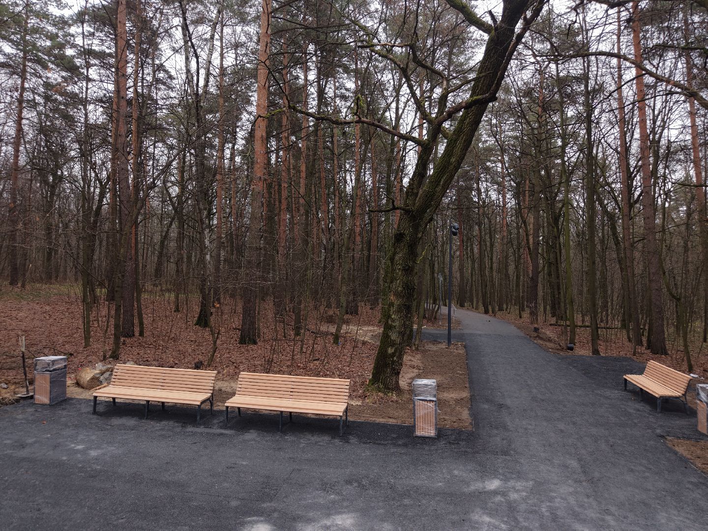 видео с коптера, томилинский лесопарк, лесопарк в люберцах,