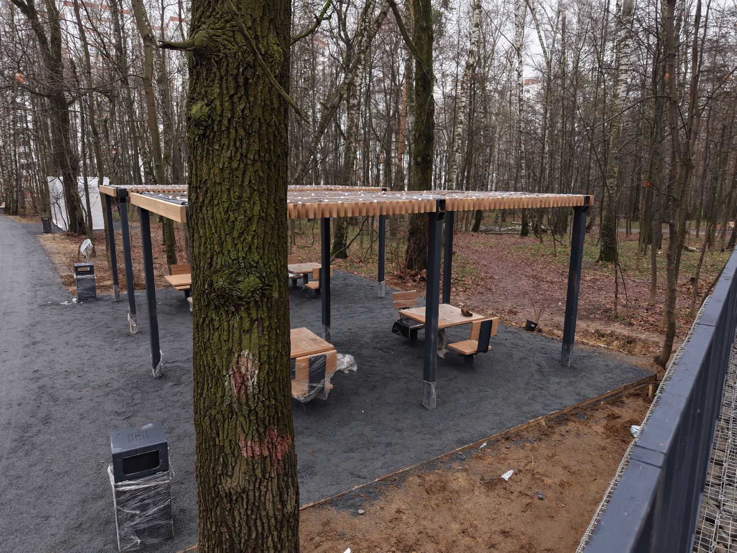 видео с коптера, томилинский лесопарк, лесопарк в люберцах,