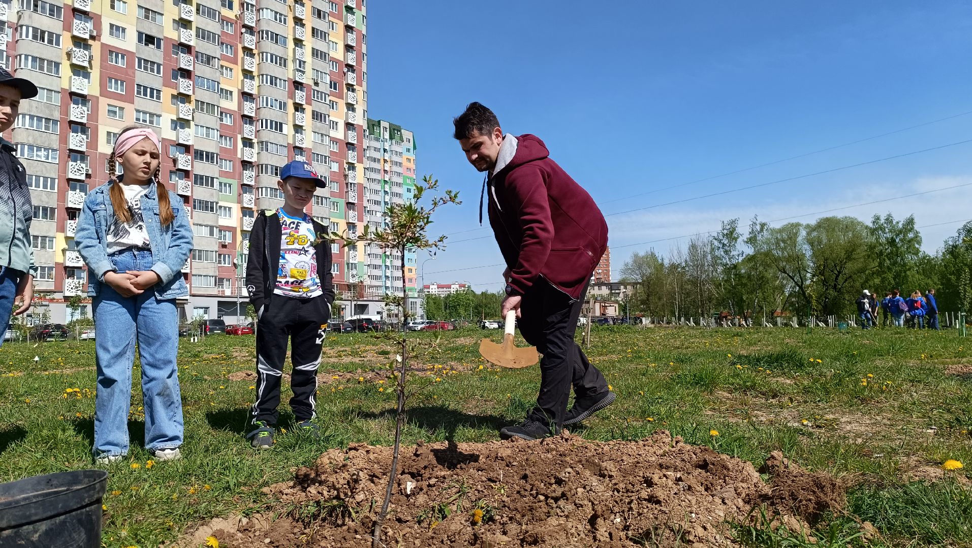 Лобня, экология, лес победы