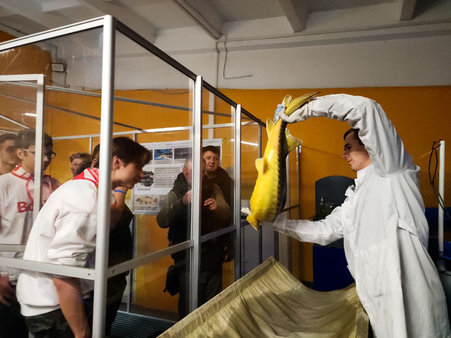 Подольск, виж имени эрнста, Кубок имени Эрнста, Турнир, Квест,