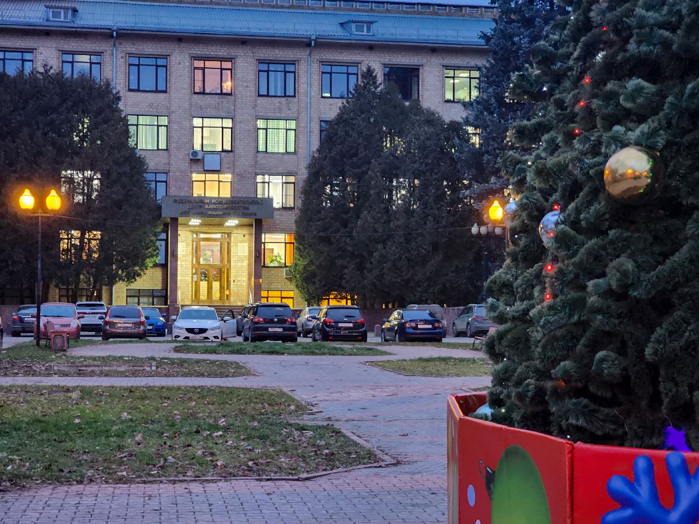 Подольск, виж имени эрнста, Кубок имени Эрнста, Турнир, Квест,