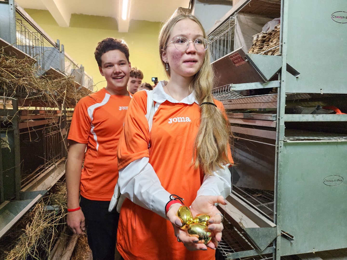 Подольск, виж имени эрнста, Кубок имени Эрнста, Турнир, Квест,