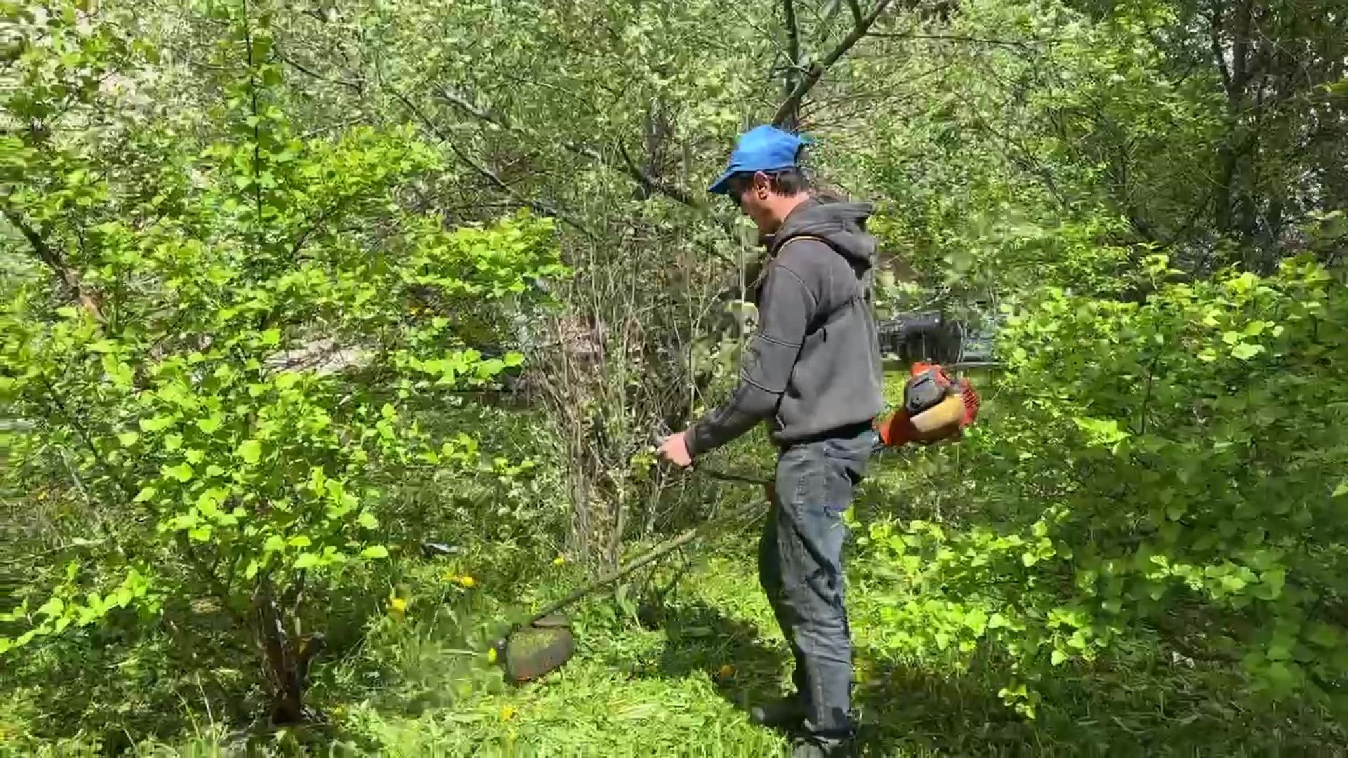 Реутов, ЖКХ, управляющие компании, покос травы, газоны, кустарники