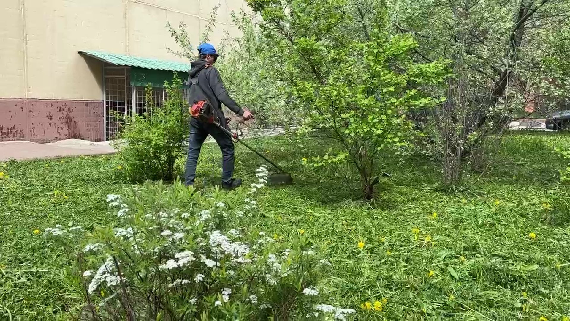 Реутов, ЖКХ, управляющие компании, покос травы, газоны, кустарники