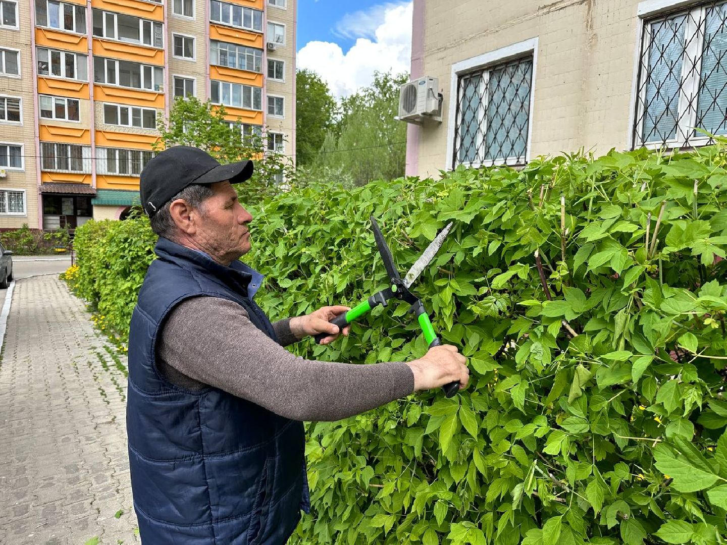 Реутов, ЖКХ, управляющие компании, покос травы, газоны, кустарники