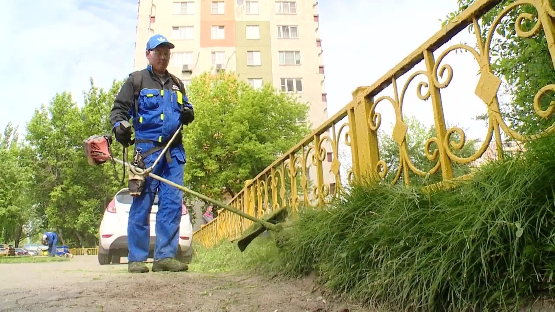 Реутов, ЖКХ, управляющие компании, покос травы, газоны, кустарники