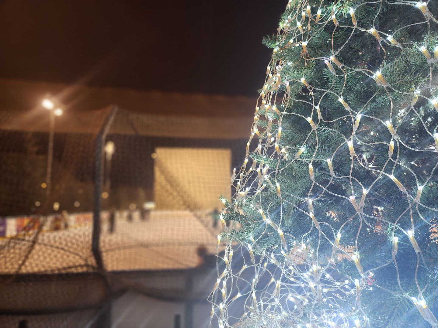 королёв, космолед, спорт, зима в  подмосковье,