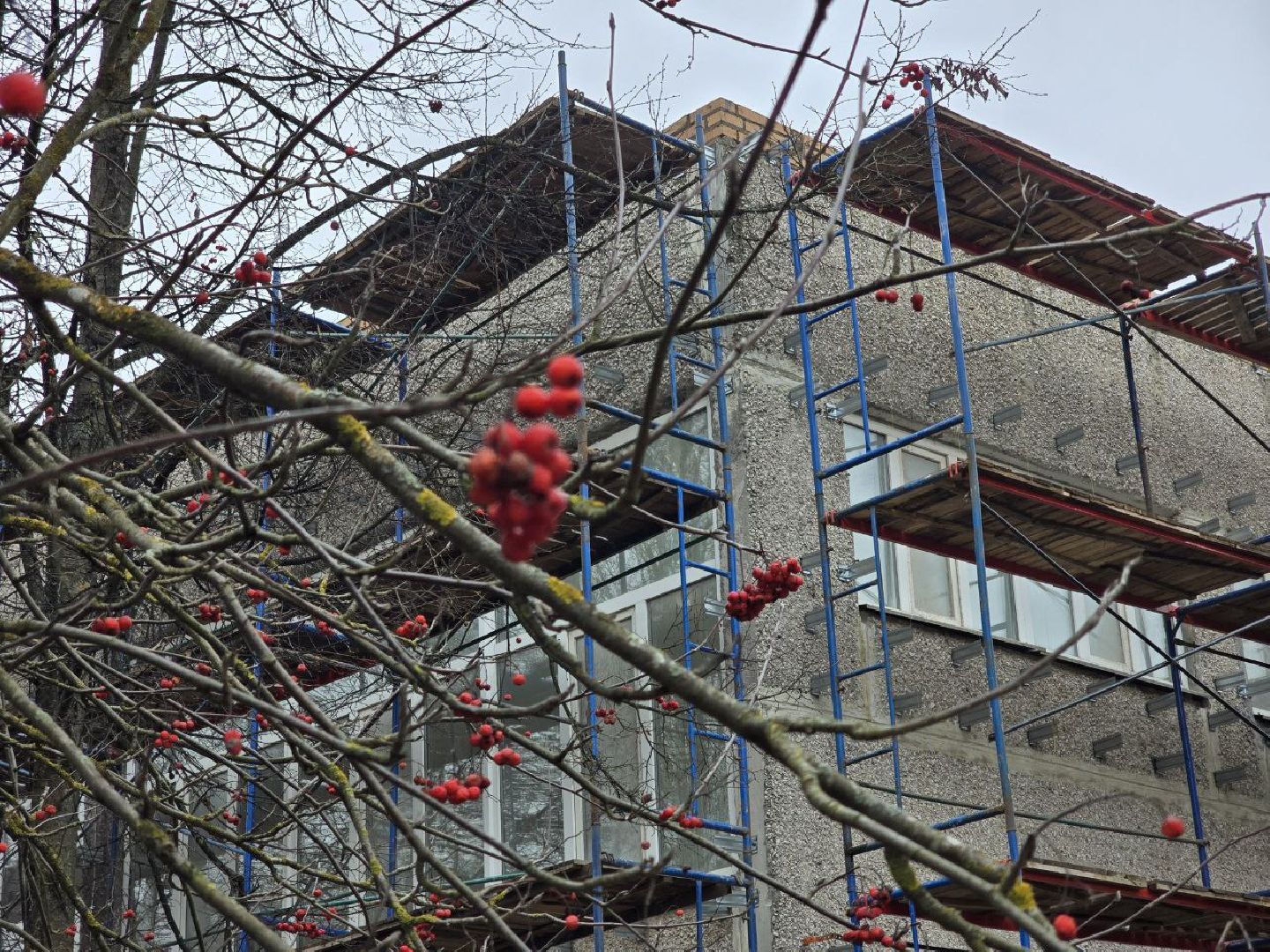 наро-фоминск, наро-фоминский городской округ, строительство, капремонт, ремонт школы, молодеж и дети, нацпроект, государственная программа,