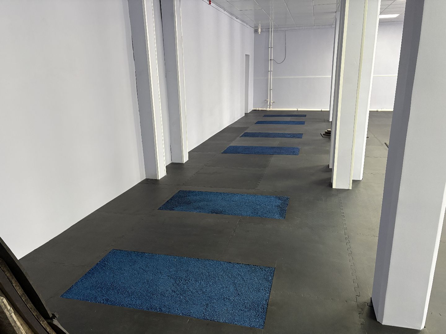 зарайск, развитие спорта, ремонт спортивного учреждения,