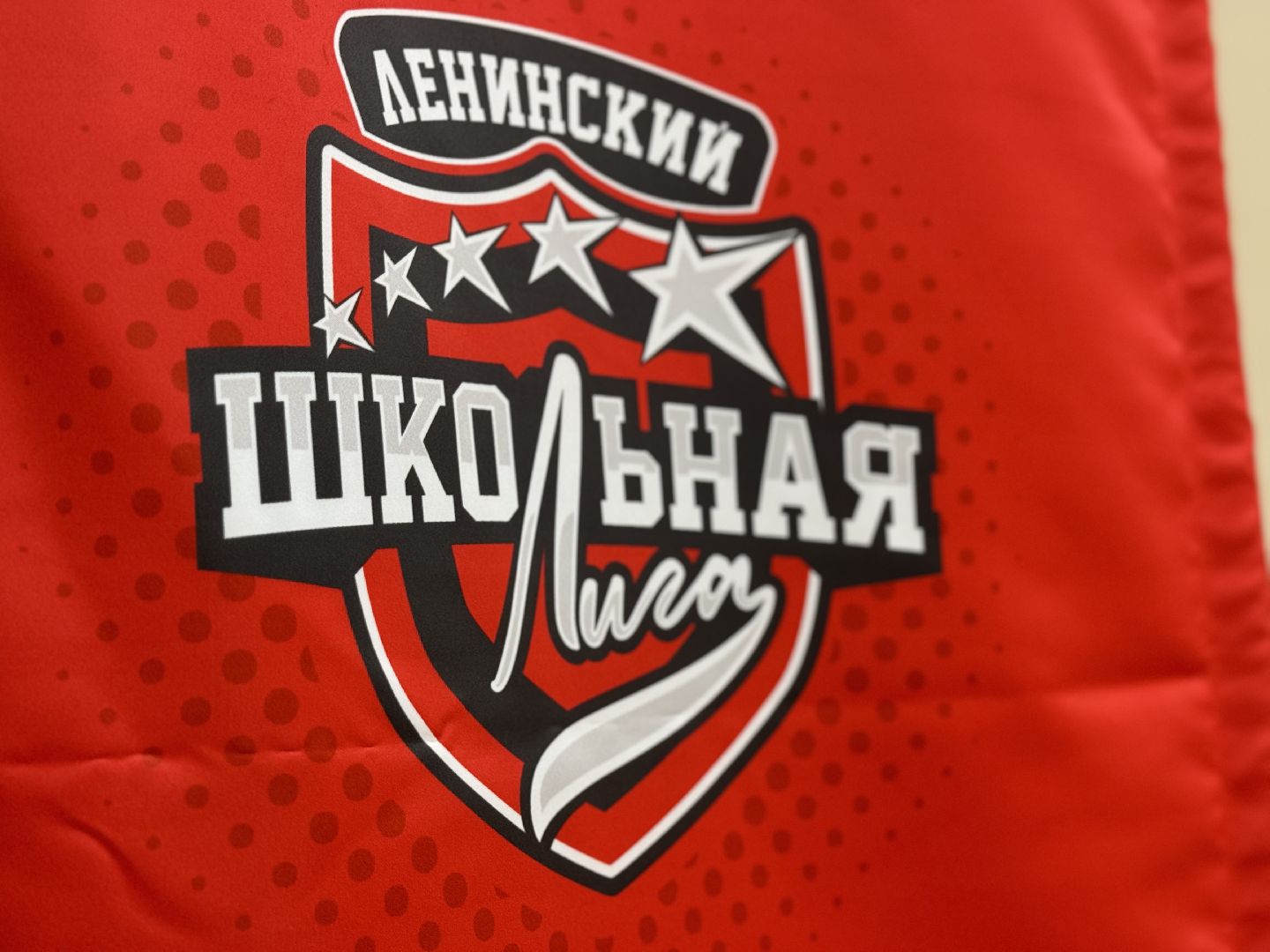 единая школьная лига , волейбол, соревнования , ленинский городской округ, школьники, спорт,