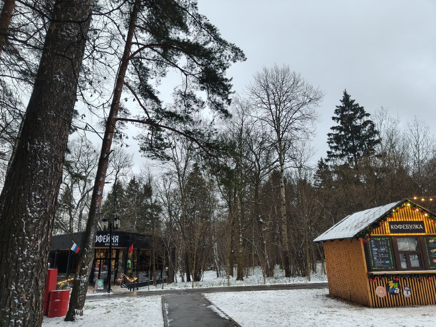 одинцовский парк культуры спорта и отдыха, зима в  подмосковье, зимнее меню, парки,