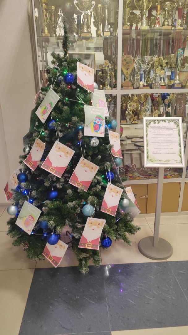 Елка желаний, Пушкинский городской округ, Пушкино, Школа-интернат, Подарки для детей, Подарки для особенных детей,