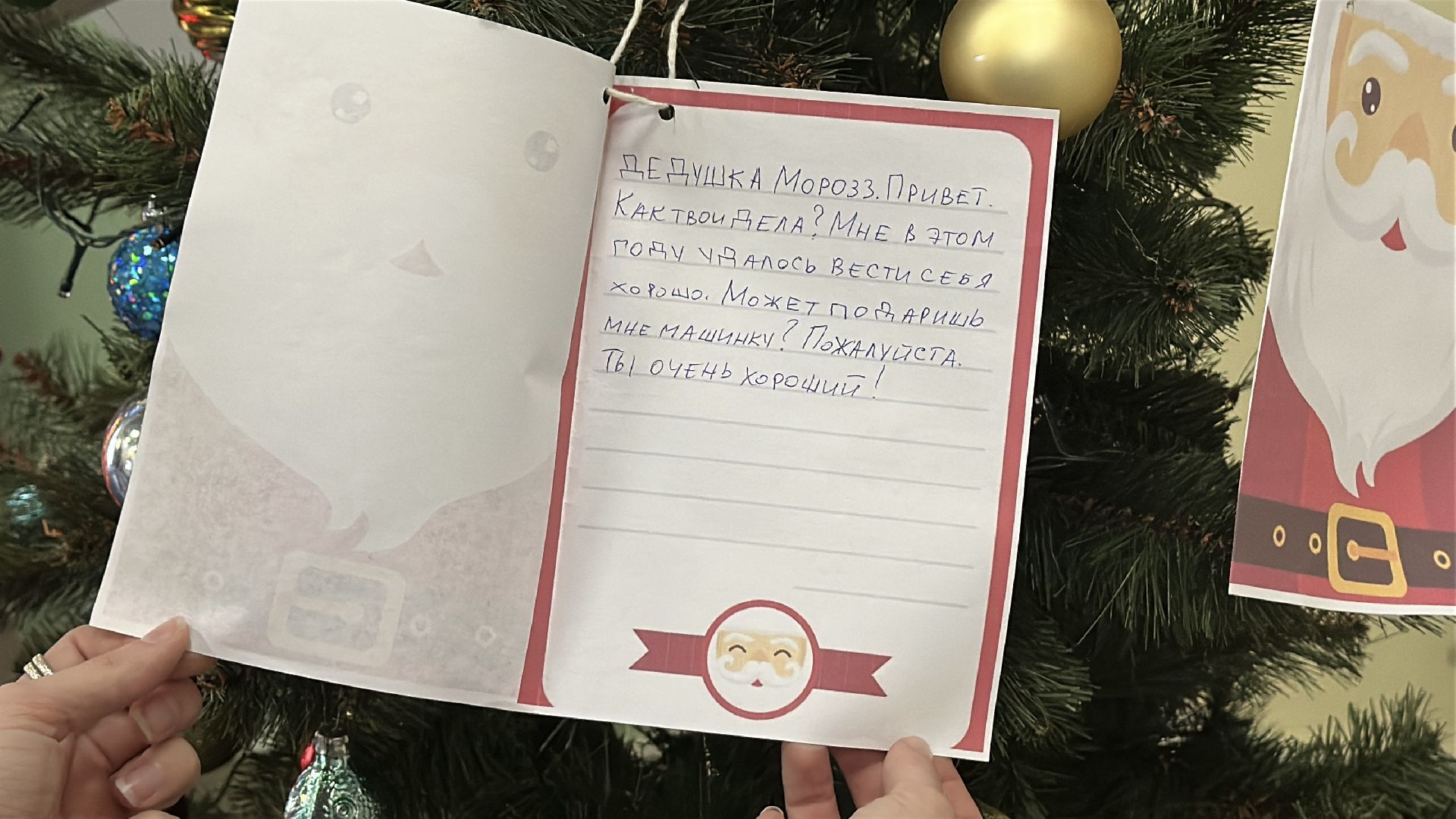 Елка желаний, Пушкинский городской округ, Пушкино, Школа-интернат, Подарки для детей, Подарки для особенных детей,