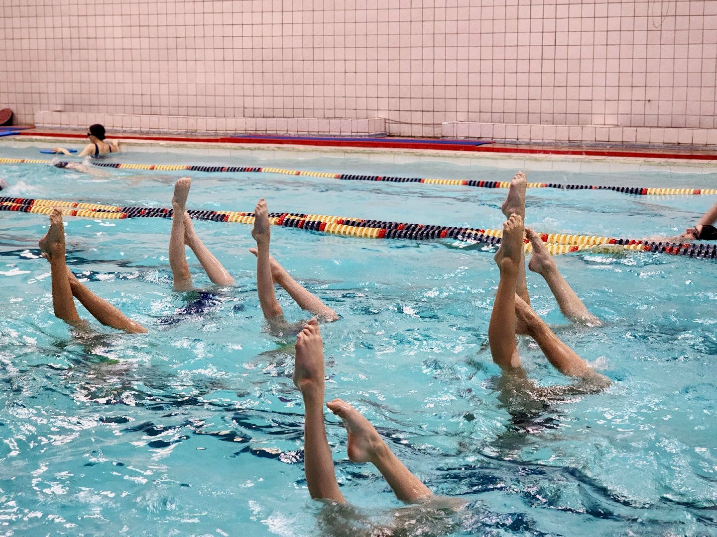 синхронное плавание, всероссийские соревнования, бронза, спорт в реутове,