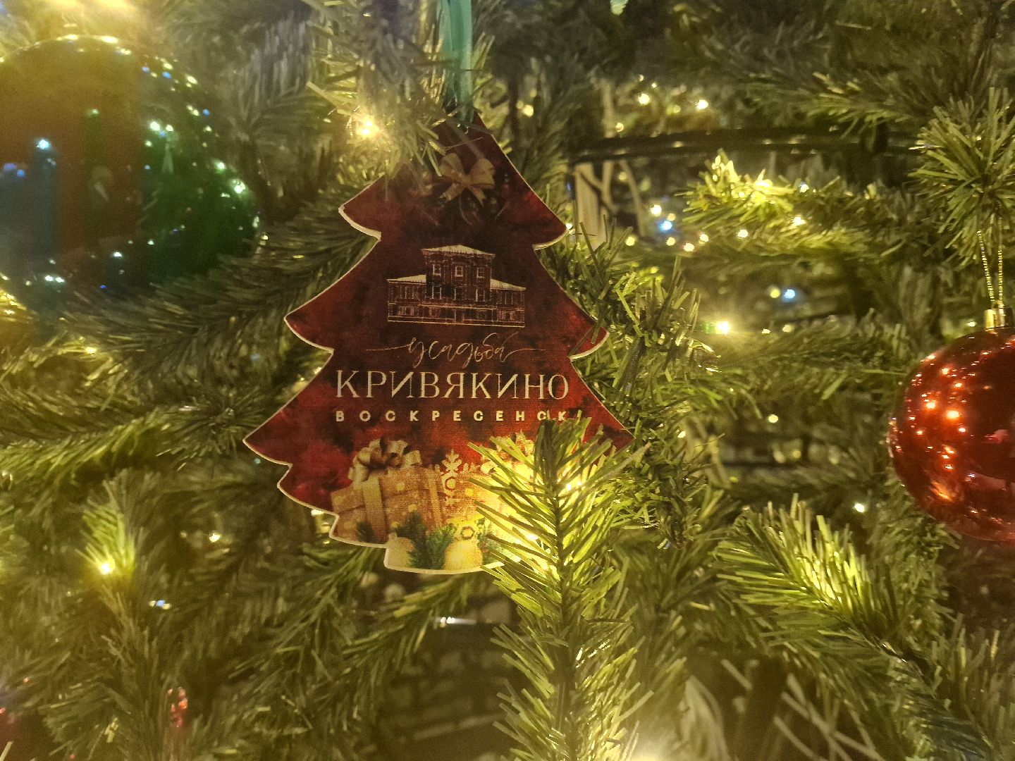 воскресенск, кривякино, резиденция деда мороза,