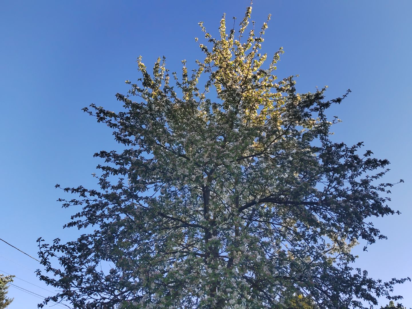 Пушкино, весна в Подмосковье, природа, люди