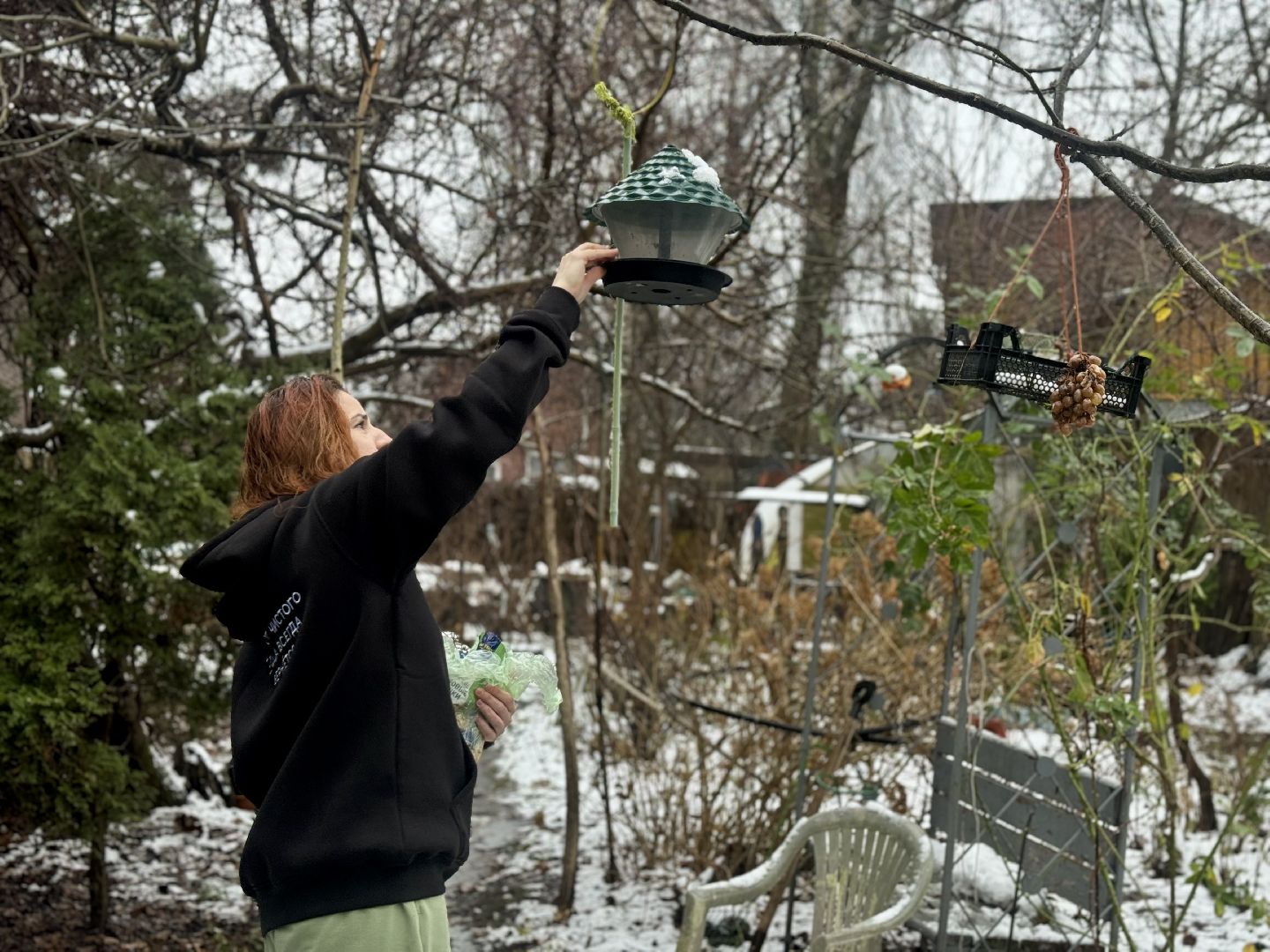 зимующие птицы, кормушки для птиц, эколог, ленинский округ,