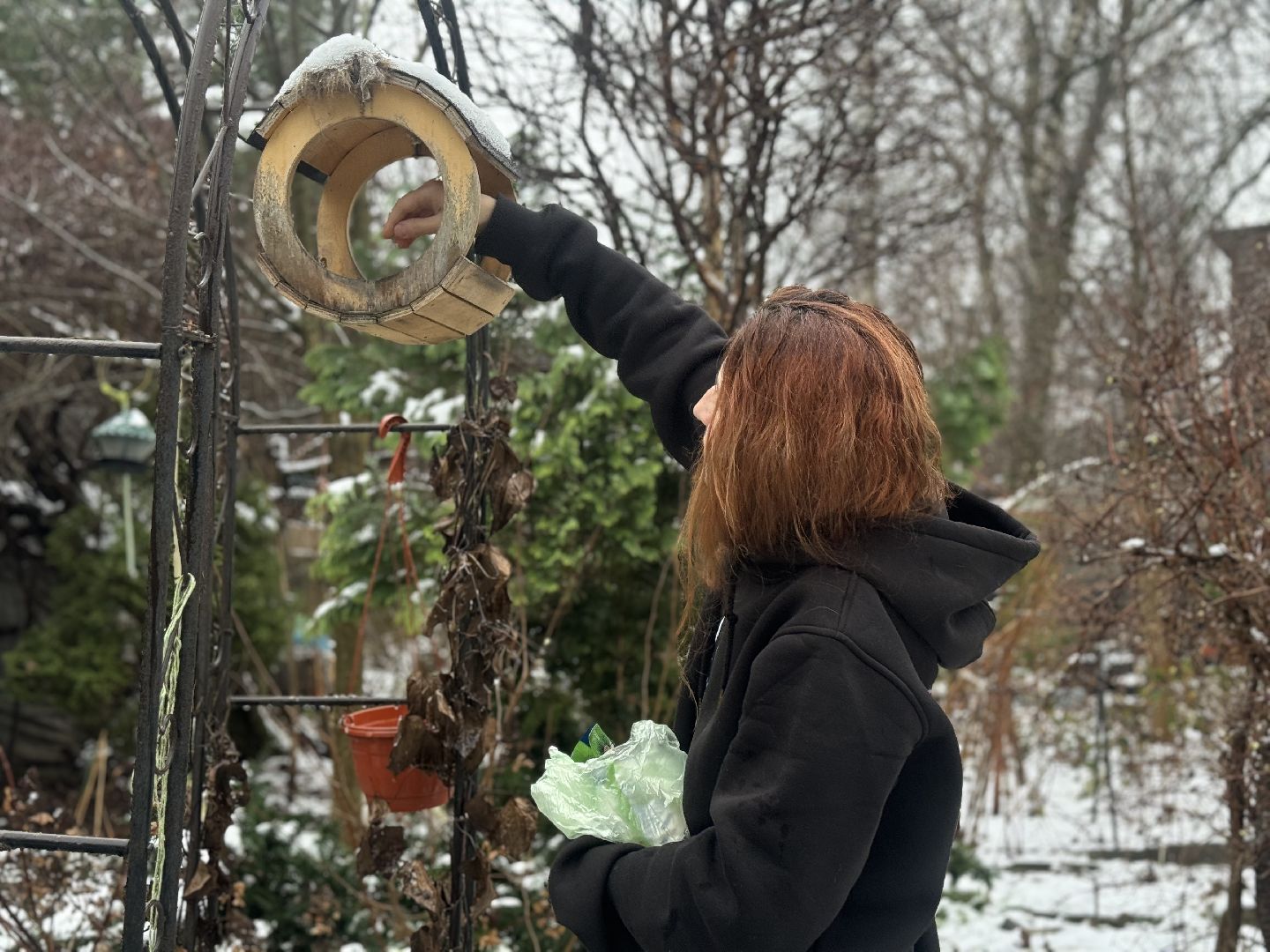 зимующие птицы, кормушки для птиц, эколог, ленинский округ,