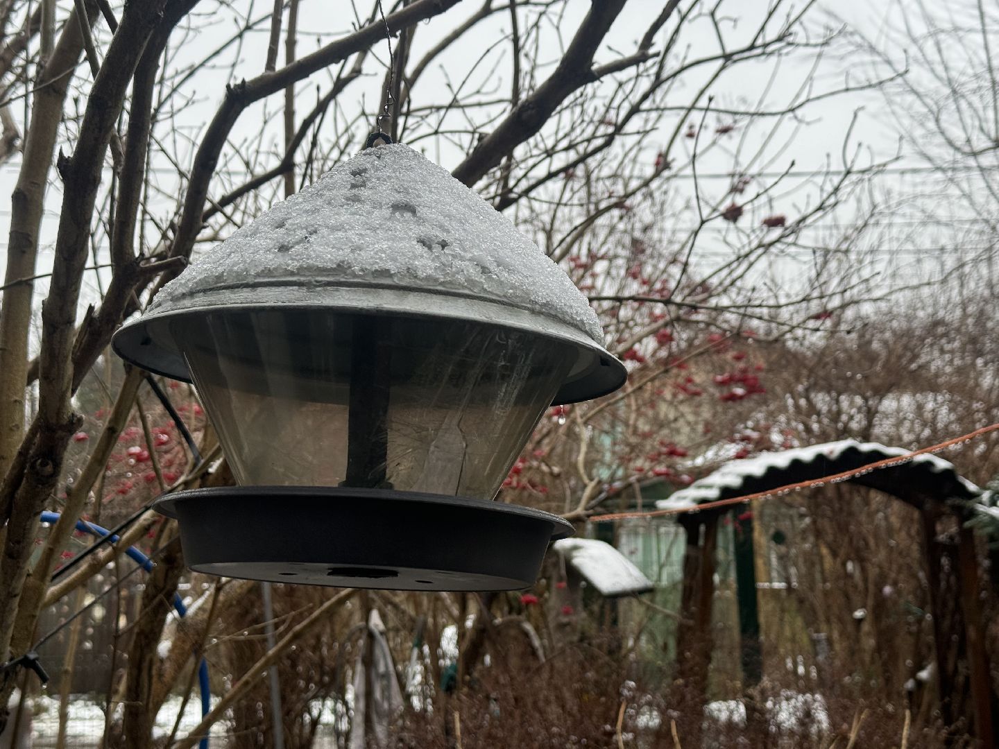 зимующие птицы, кормушки для птиц, эколог, ленинский округ,