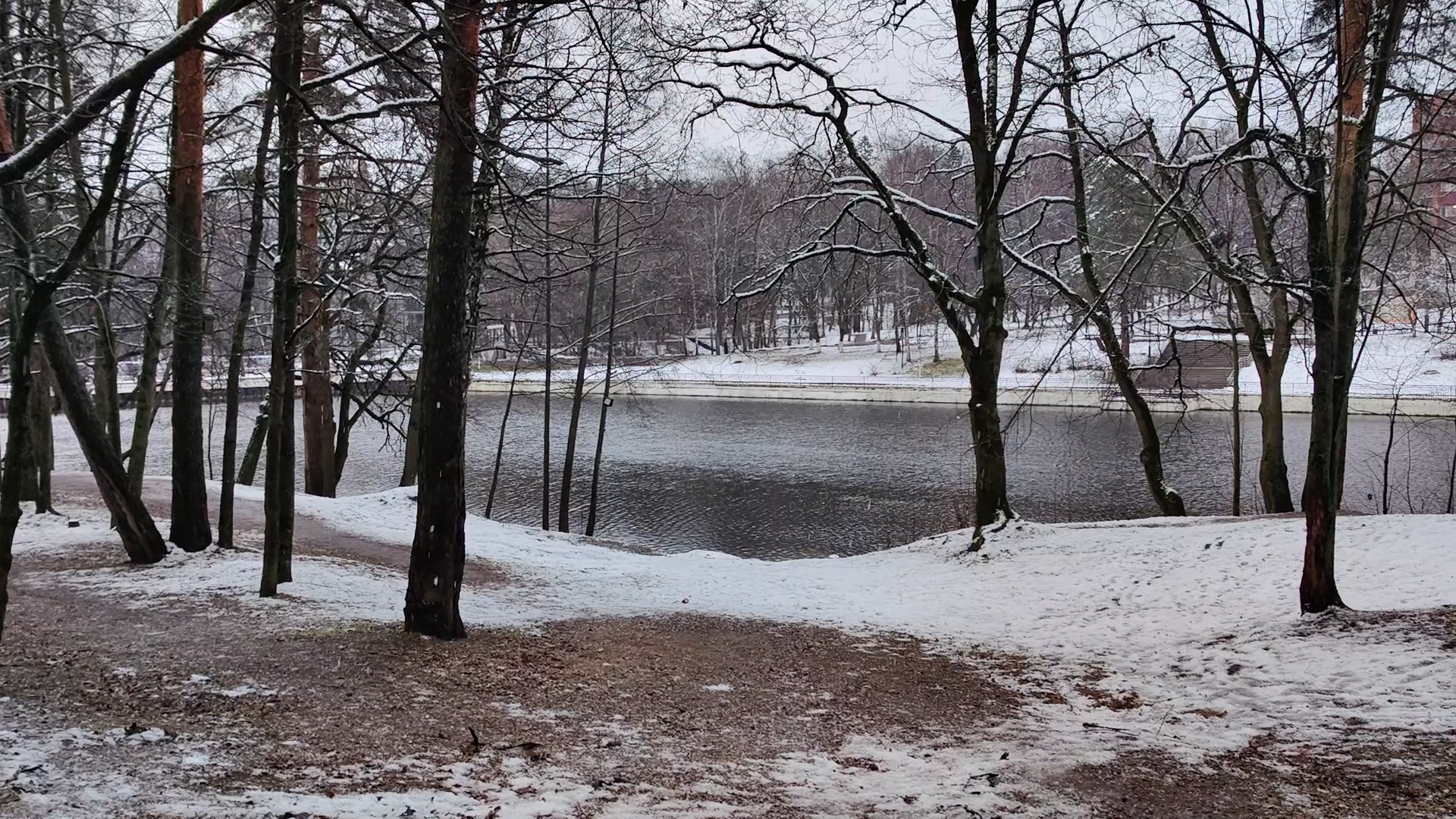 власиха благоустройство, власиха среднее озеро, благоустройство озера, благоустройство территории,
