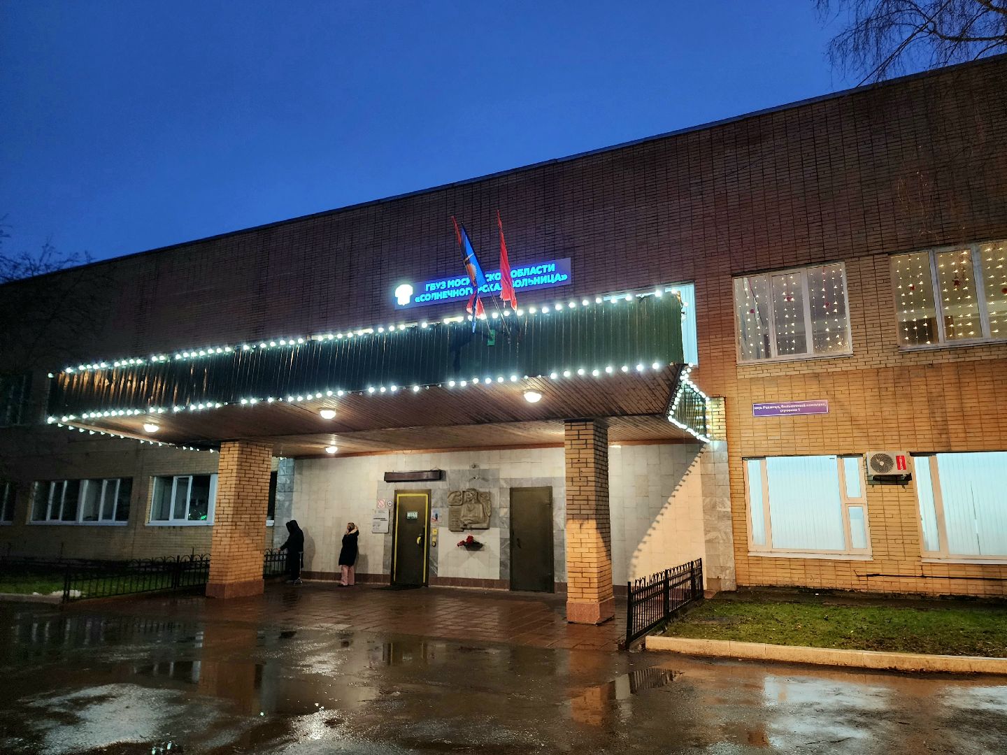 солнечногорск , новый год, зима, праздник ,