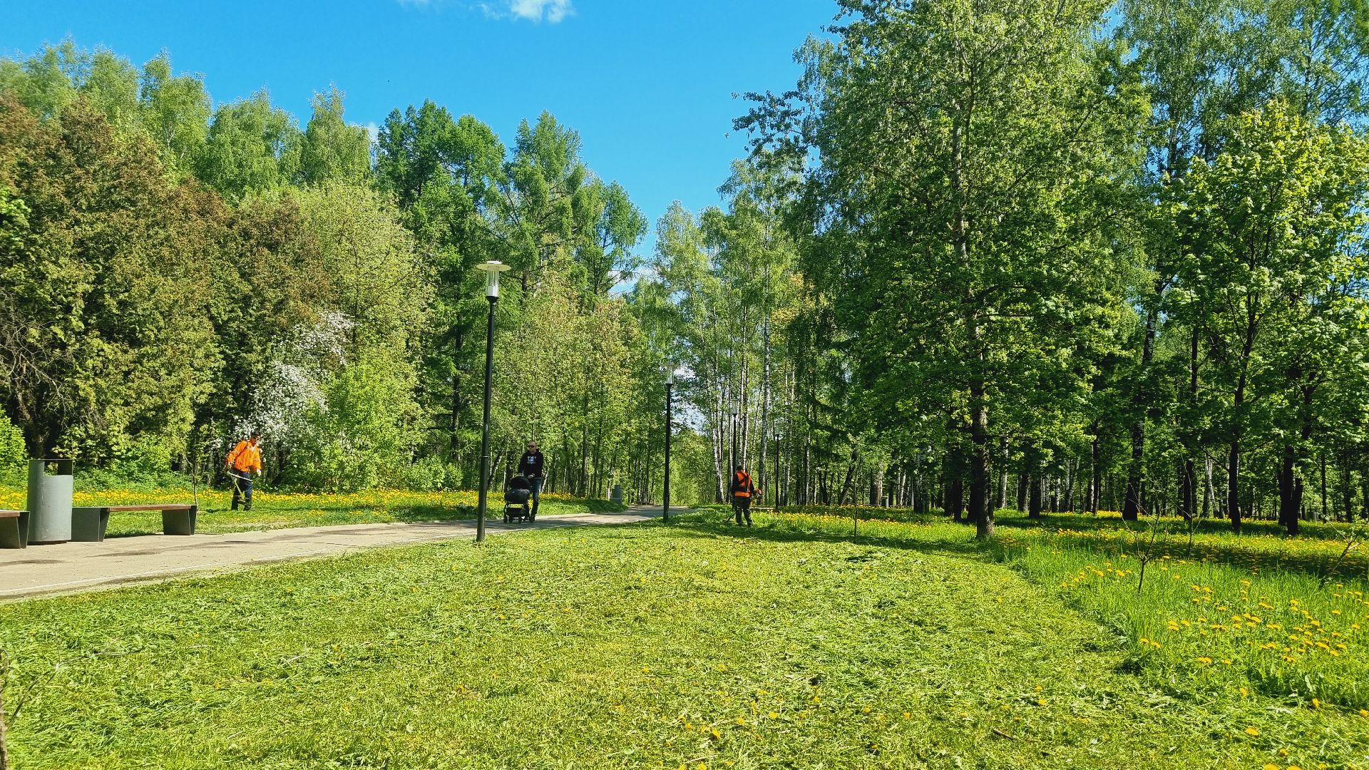 Подмосковье, Ивантеевка, благоустройство, парки Подмосковья