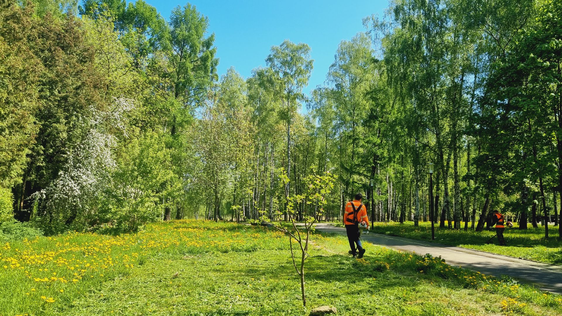 Подмосковье, Ивантеевка, благоустройство, парки Подмосковья
