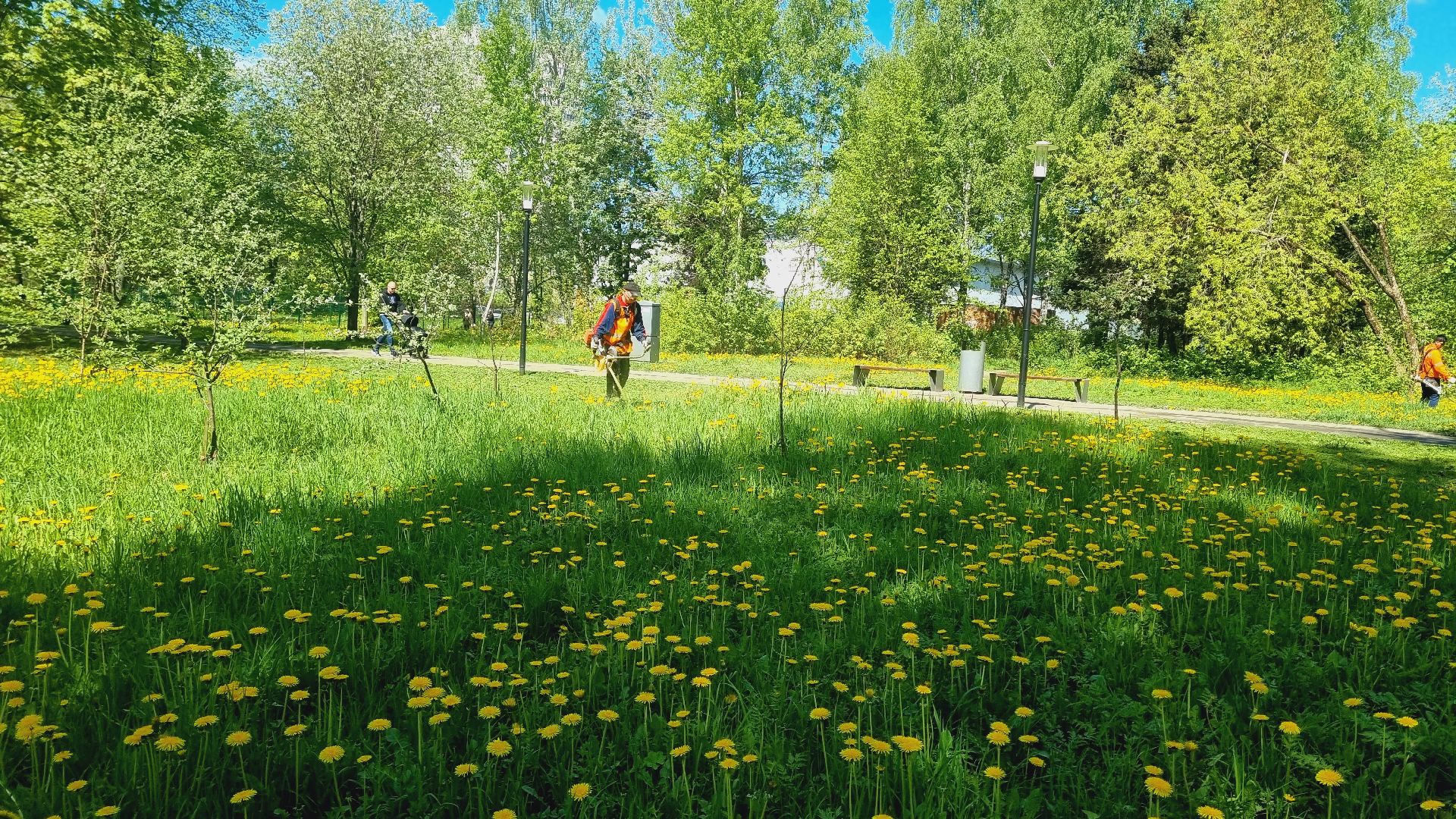 Подмосковье, Ивантеевка, благоустройство, парки Подмосковья