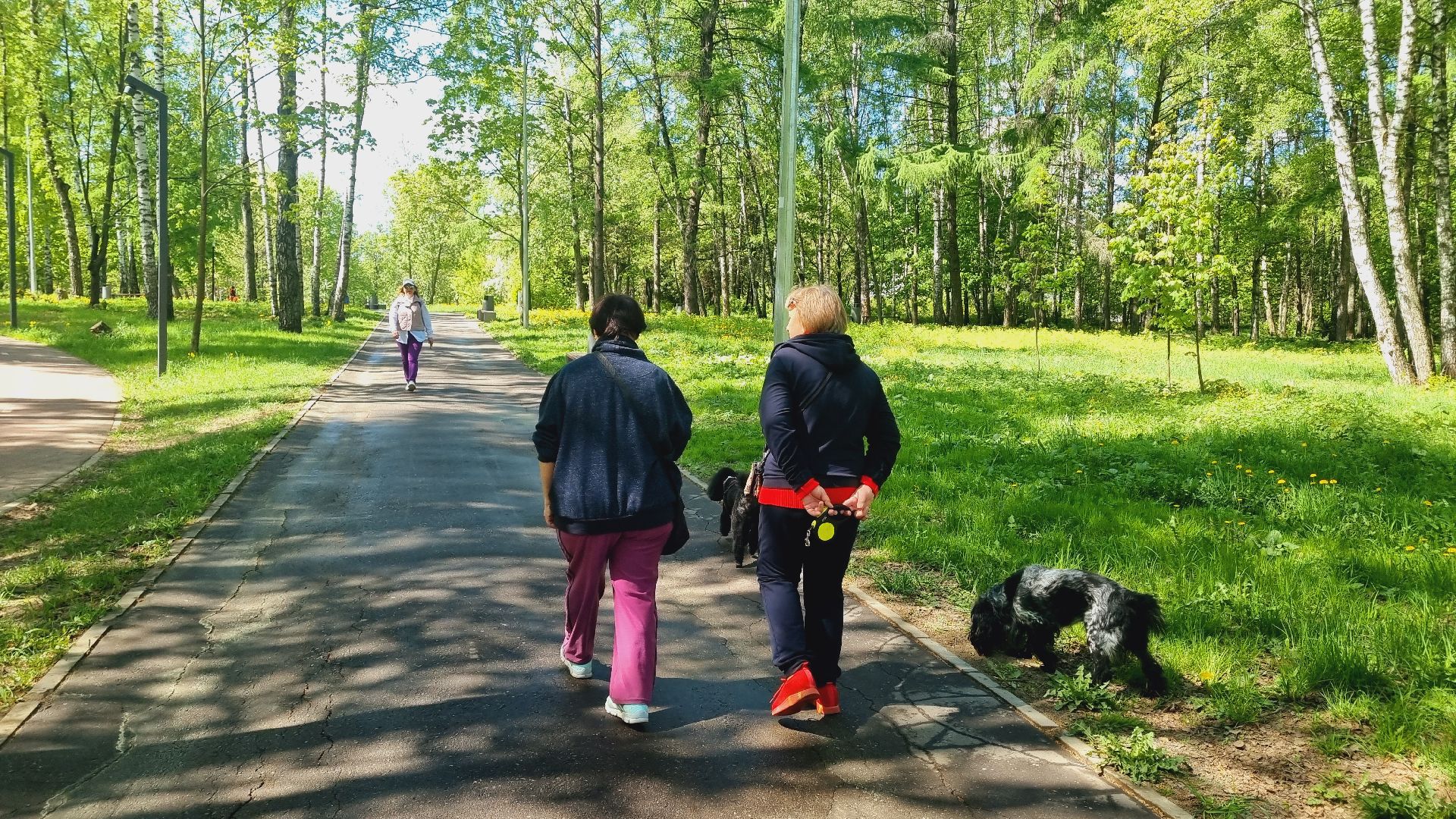 Подмосковье, Ивантеевка, благоустройство, парки Подмосковья