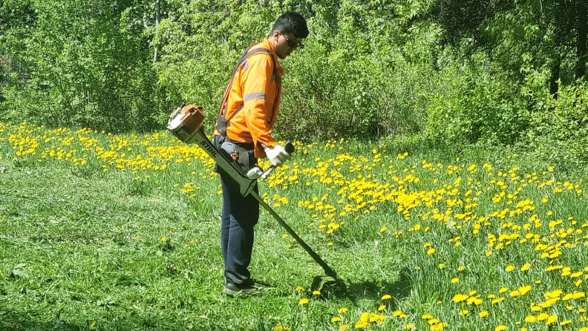 Подмосковье, Ивантеевка, благоустройство, парки Подмосковья