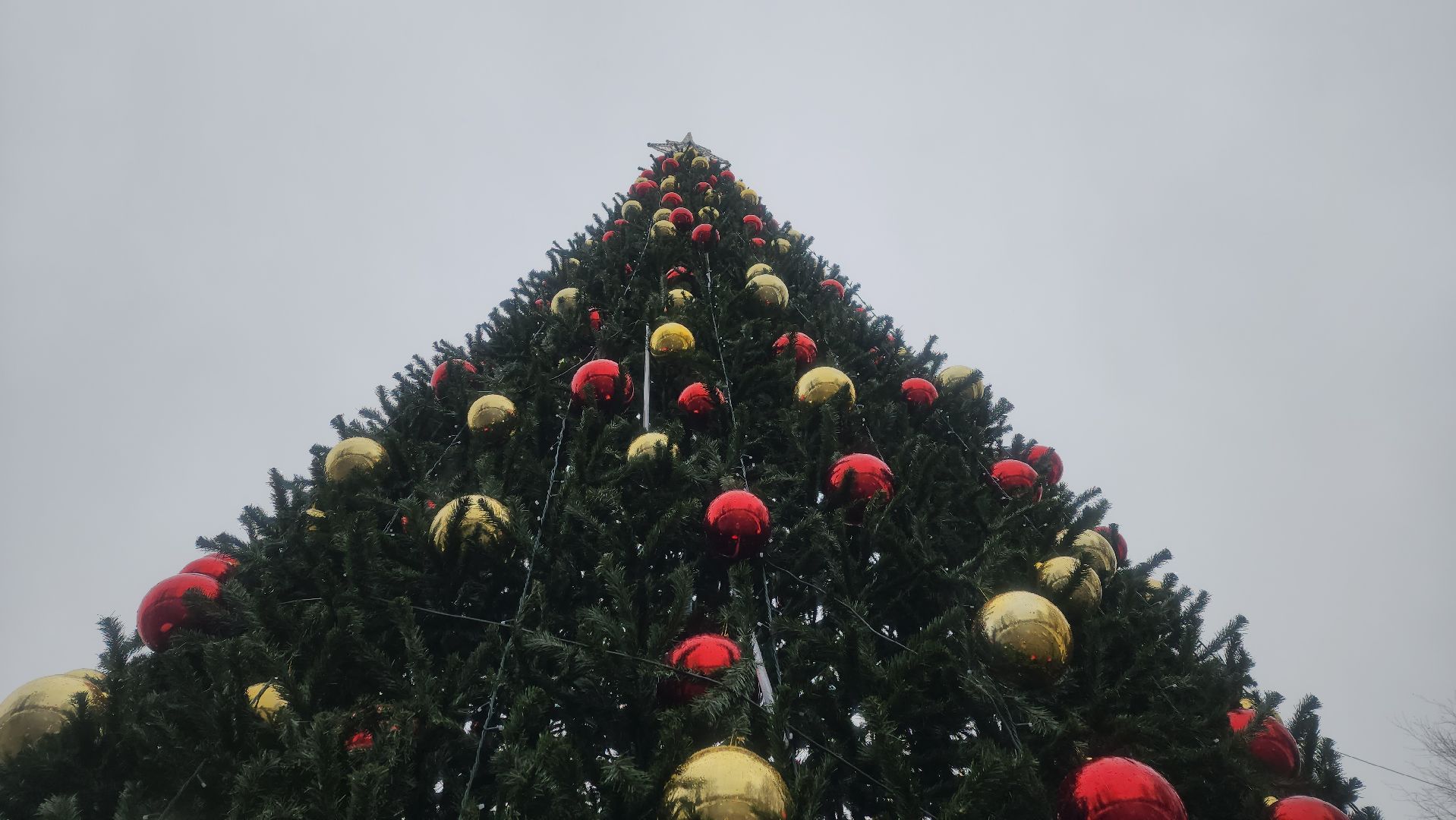 луховицы, парк воробьева, почта деда мороза,