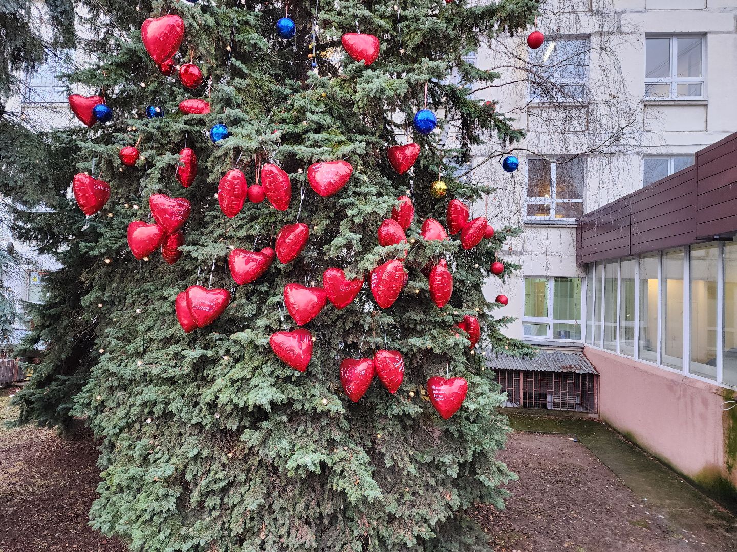 раменское, медицина, раменская больница, новогодняя акция, тепло сердец мы дарим нашим пациентам,