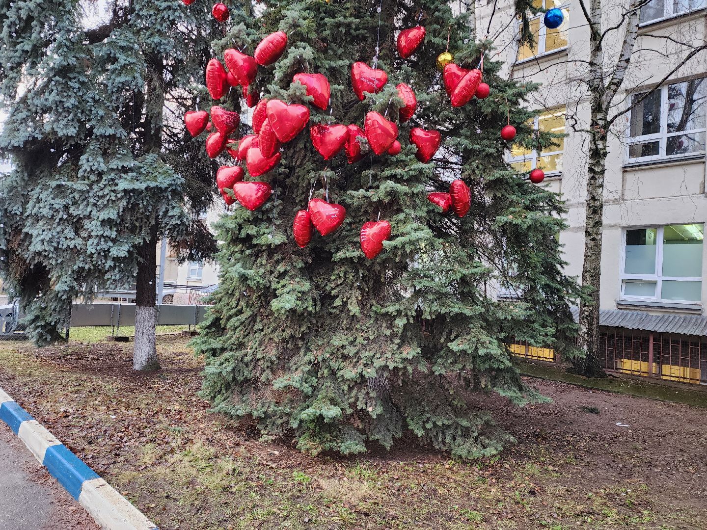 раменское, медицина, раменская больница, новогодняя акция, тепло сердец мы дарим нашим пациентам,