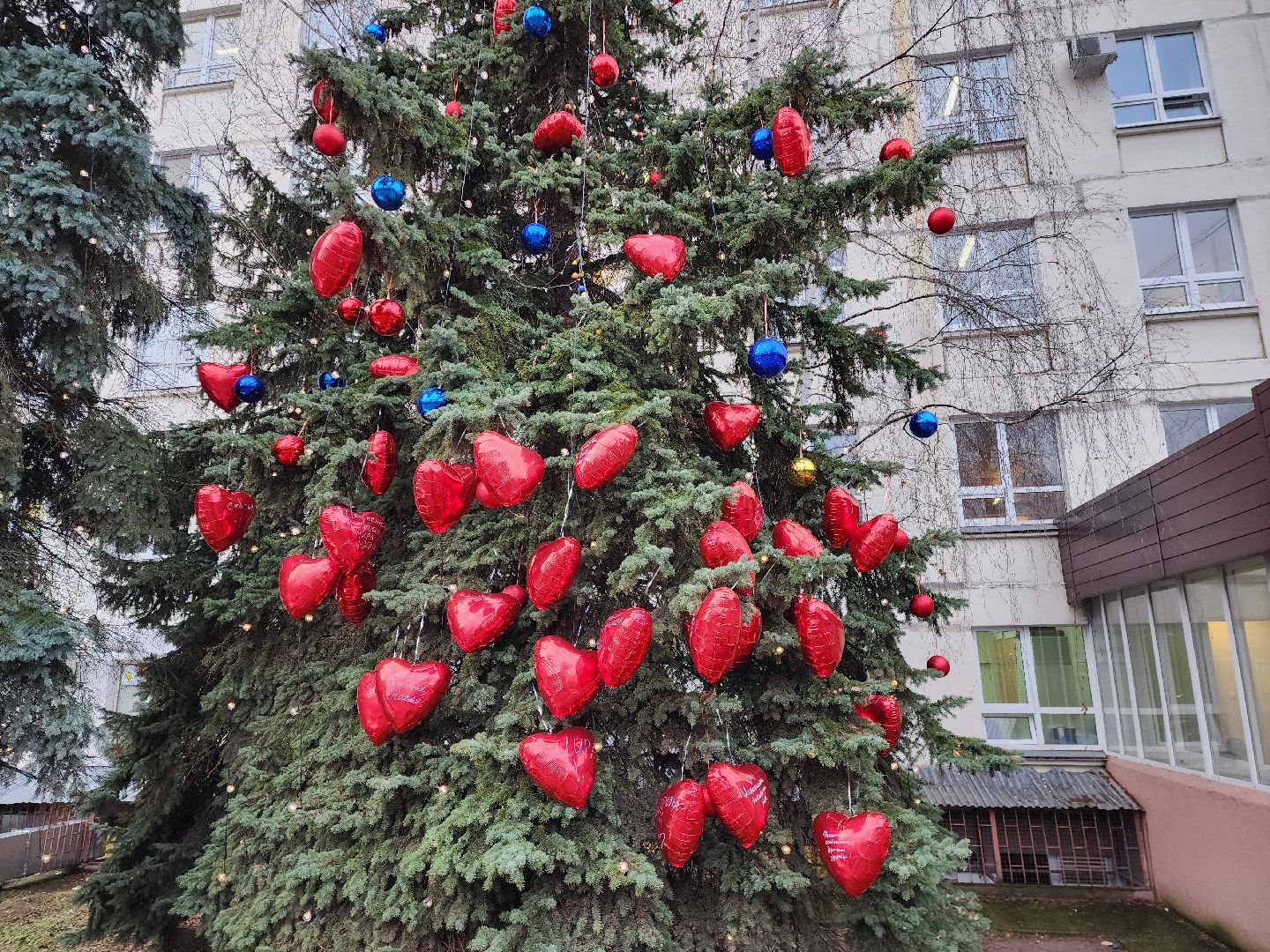 раменское, медицина, раменская больница, новогодняя акция, тепло сердец мы дарим нашим пациентам,