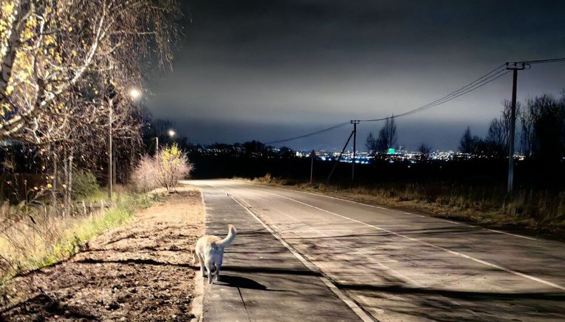 серпухов, щеболово, кирпичный завод,липицы, выездная администиация,