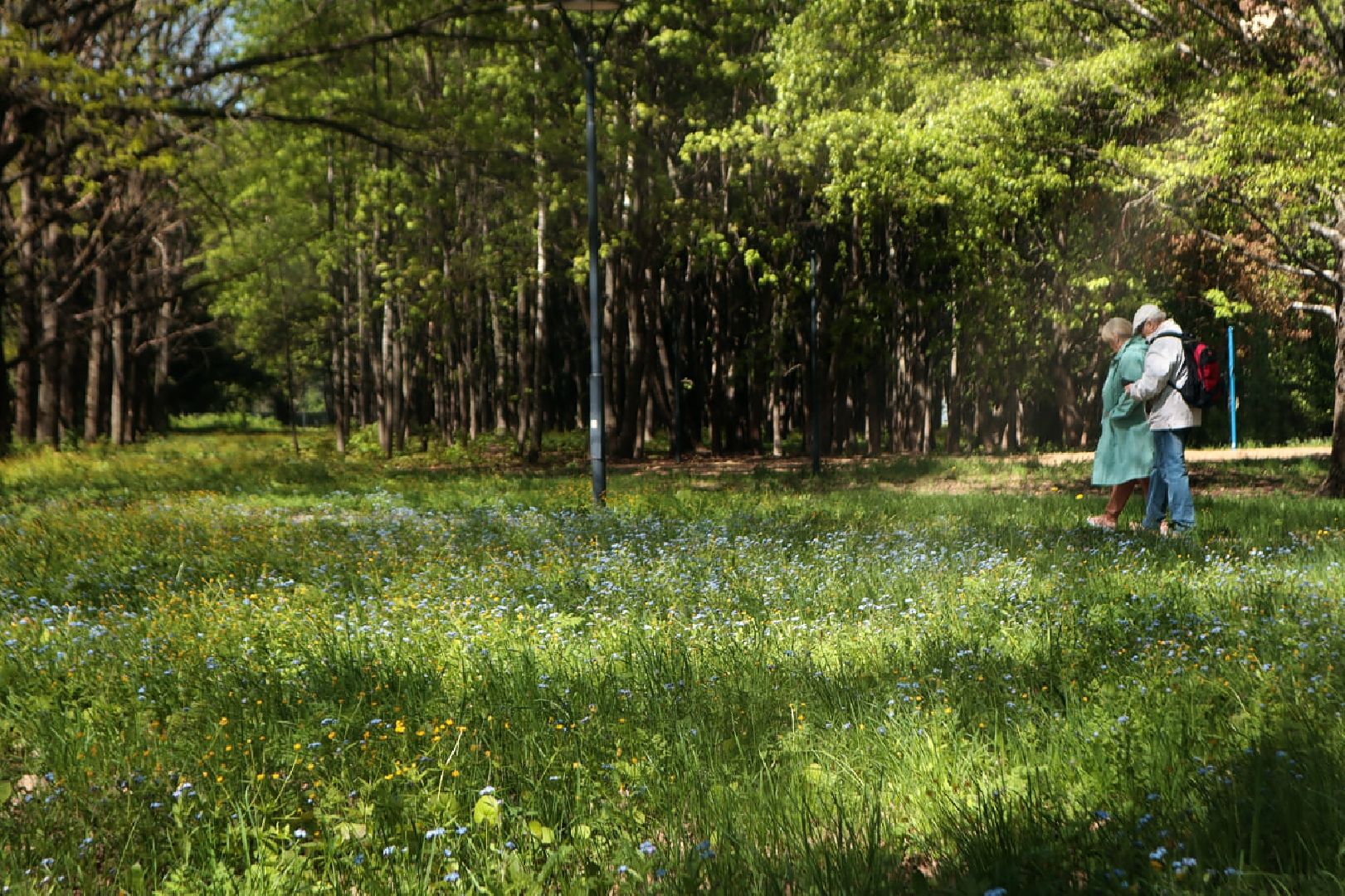 Пущино, экология
